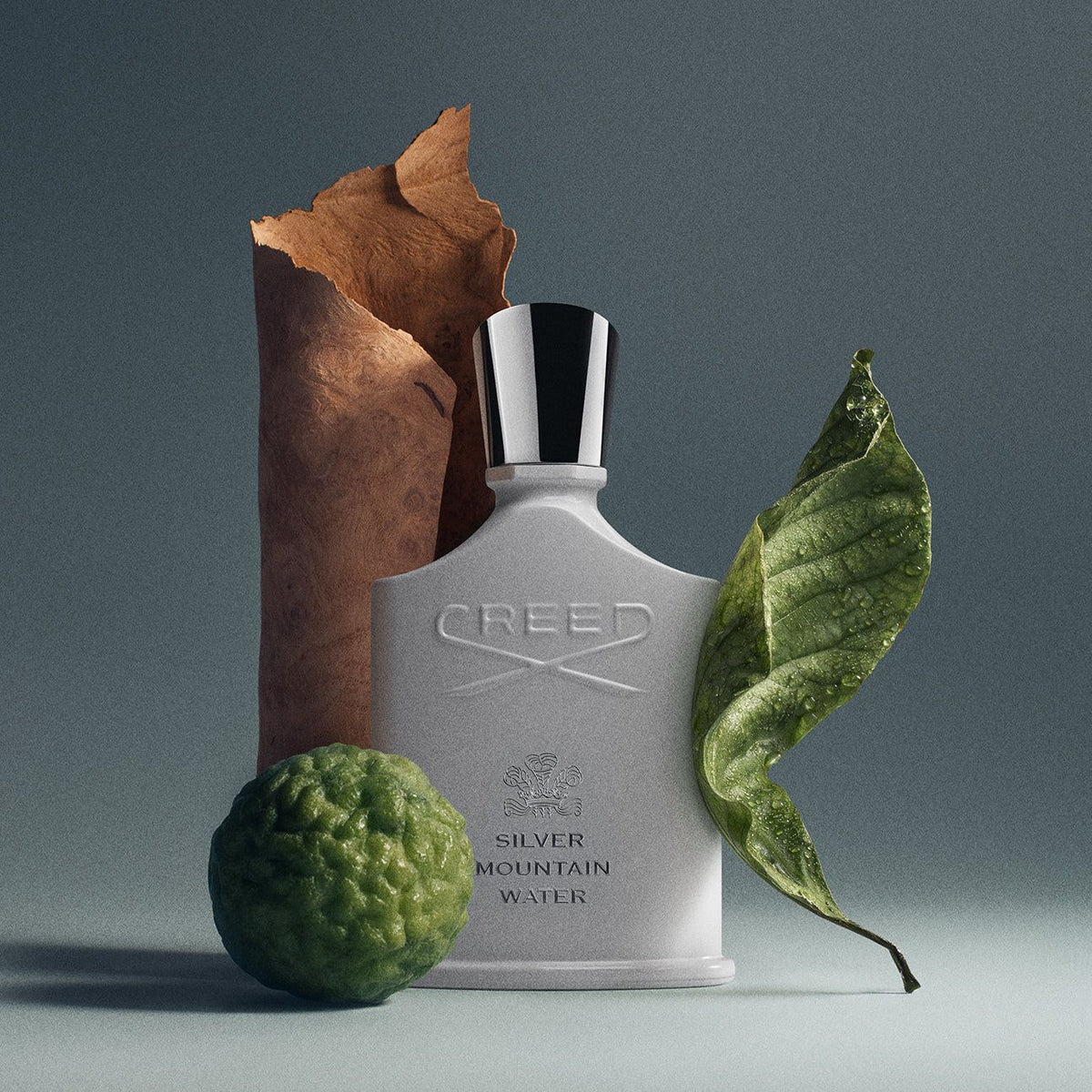 Creed Silver Mountain Water EDP 100ml Men’s Spray